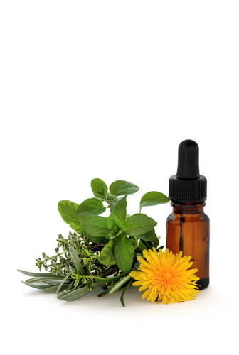 D&eacute;couvrez les bienfaits de la phytoth&eacute;rapie &agrave; La Roche-Vineuse